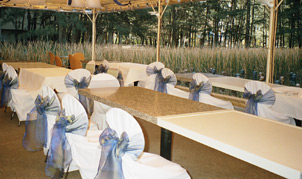 Garden party to match the garden