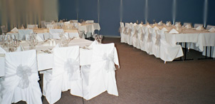 a subtle effect with silver shimmer organza